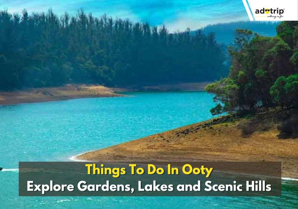 Things To Do In Ooty